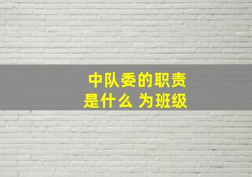 中队委的职责是什么 为班级